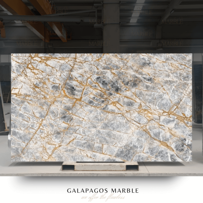 GALAPAGOS MARBLE (3)