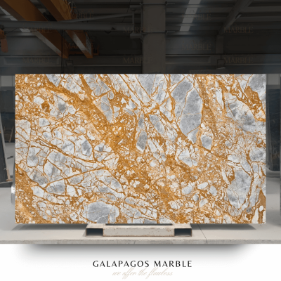GALAPAGOS MARBLE (5)
